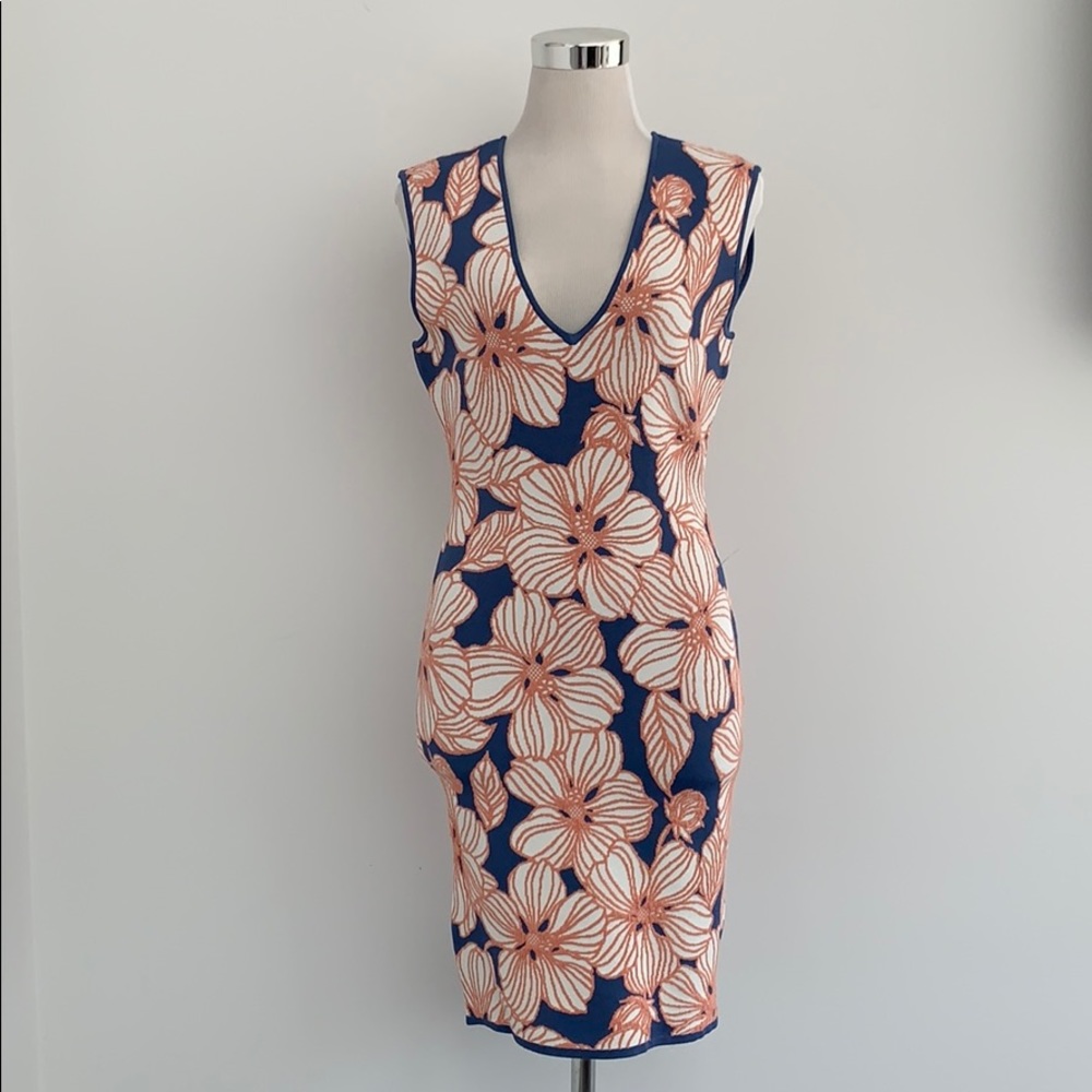 BCBG MaxAzria BodyCon Dress